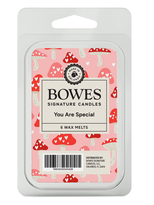 You Are Special - Bowes Signature Candles - Wax Melts